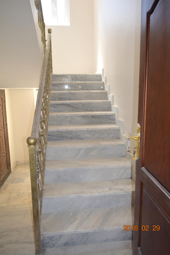 تضامن سيتي 1