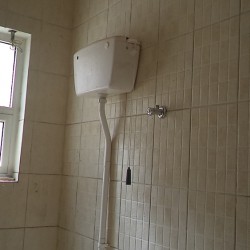 نموذج B