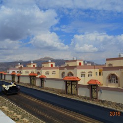 نموذج D