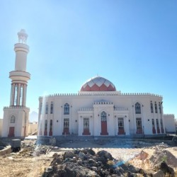 جامع التضامن